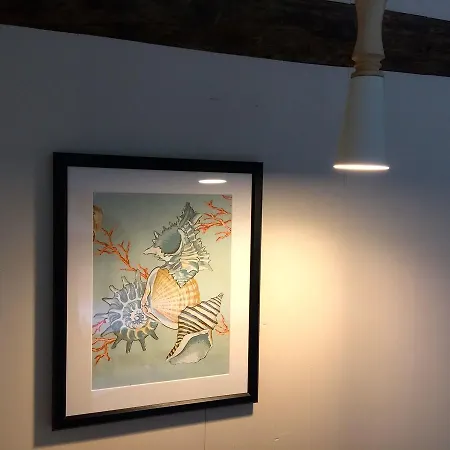 Wierschuur Nieuwland